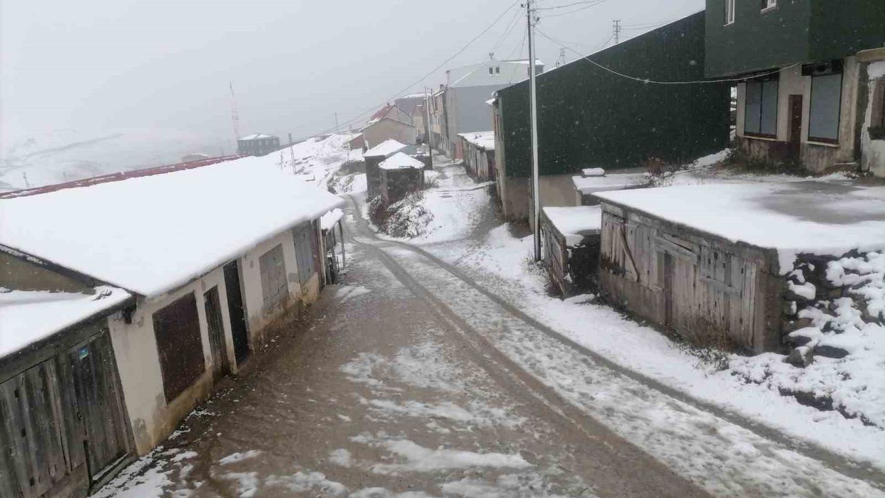 Gümüşhane'nin 2200 rakımlı Kadırga Yaylası beyaza büründü