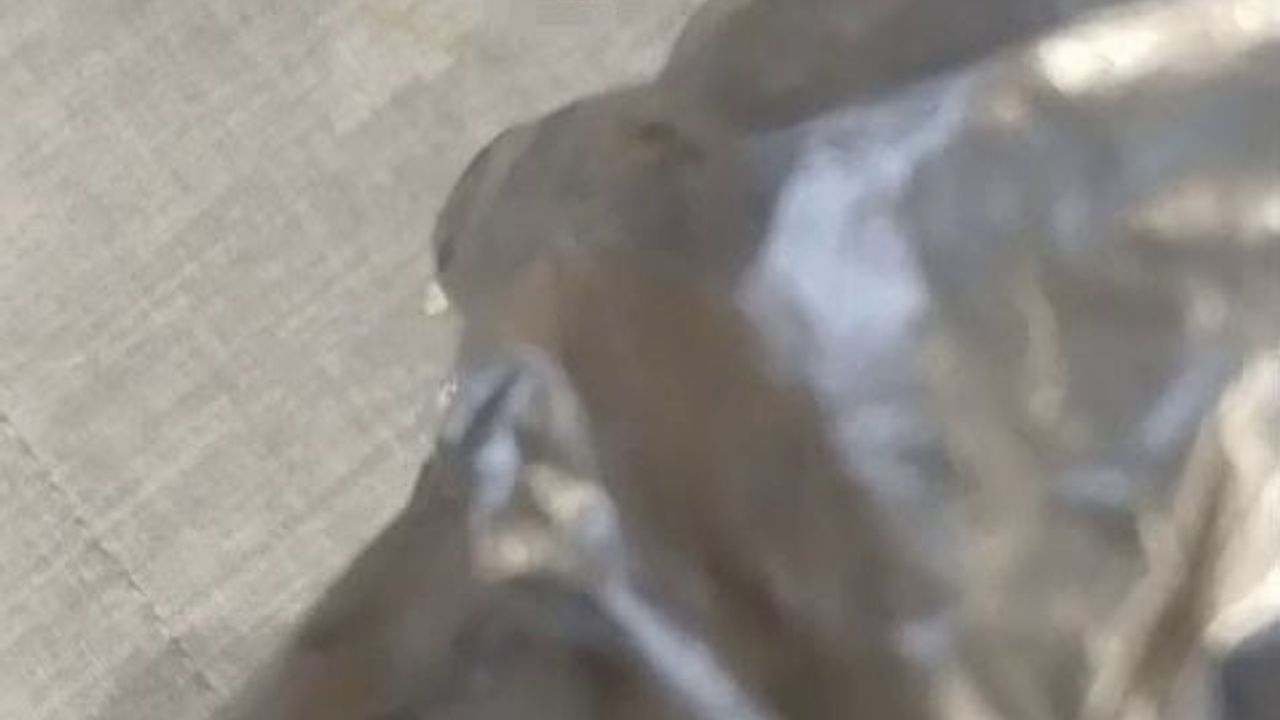 Gürsel Tekin’den CHP İstanbul İl Binasındaki tuvalet saldırısına tepki