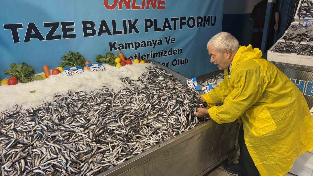 Hamsi Fiyatları Düştü: Beylikdüzü'nde Kilosu 60 TL, 4 Kilosu 200 TL'ye Satılıyor