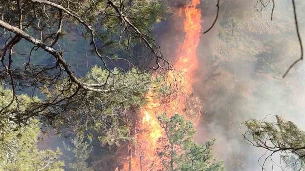 Hatay Belen'de orman yangını: itfaiye ve orman bölge ekipleri karadan müdahale ediyor