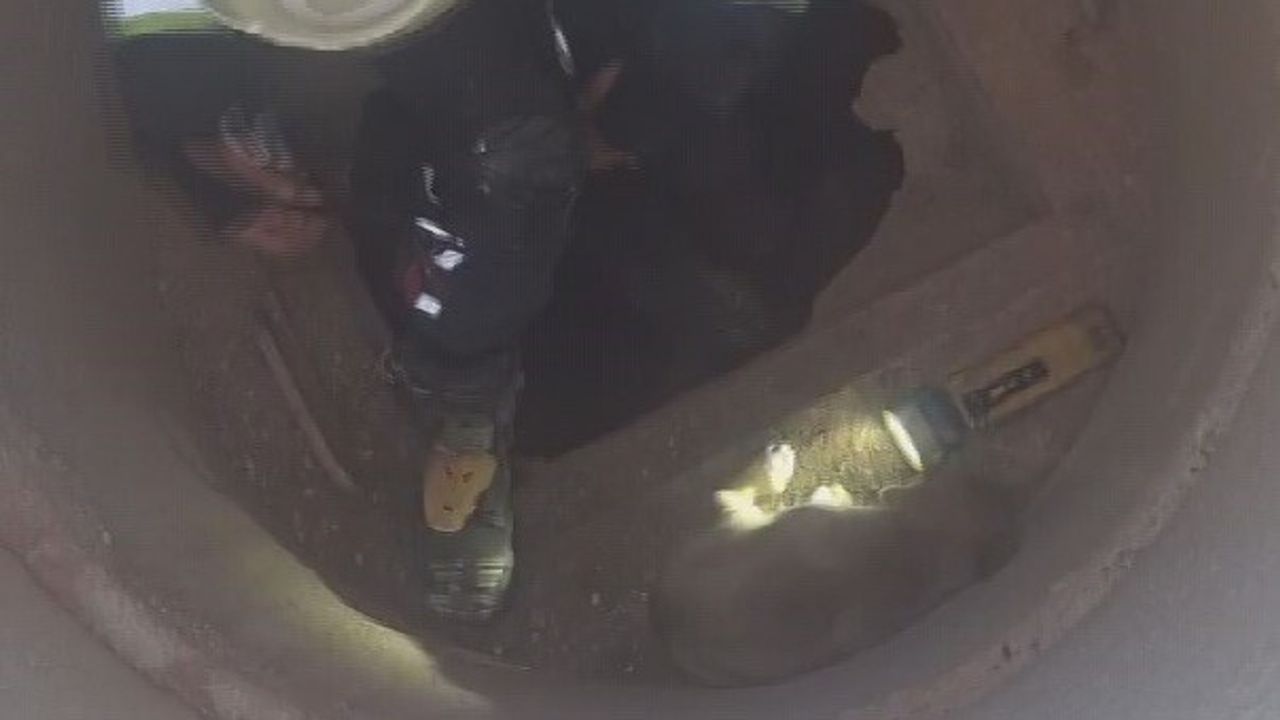 Hatay'da 6 Metre Derinliğindeki Çukura Düşen Yavru Köpek İtfaiye Tarafından Kurtarıldı