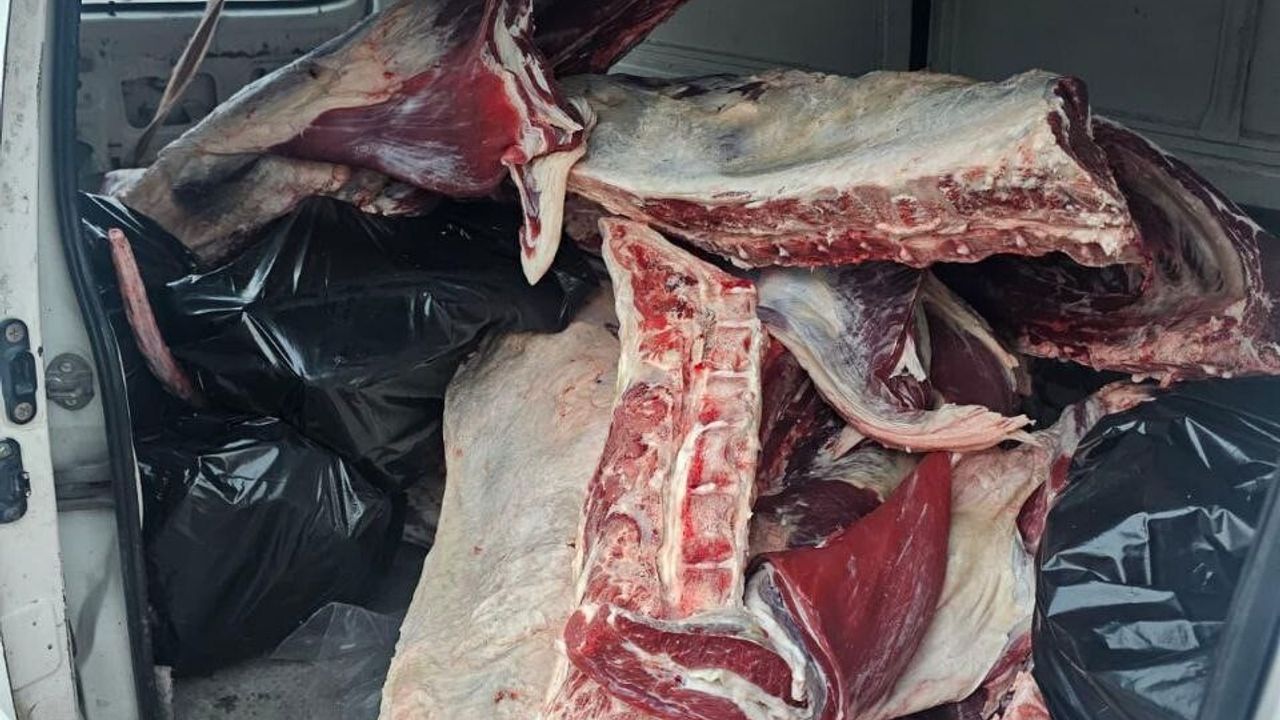 Hatay'da menşei belirsiz 1 ton kırmızı et ele geçirildi