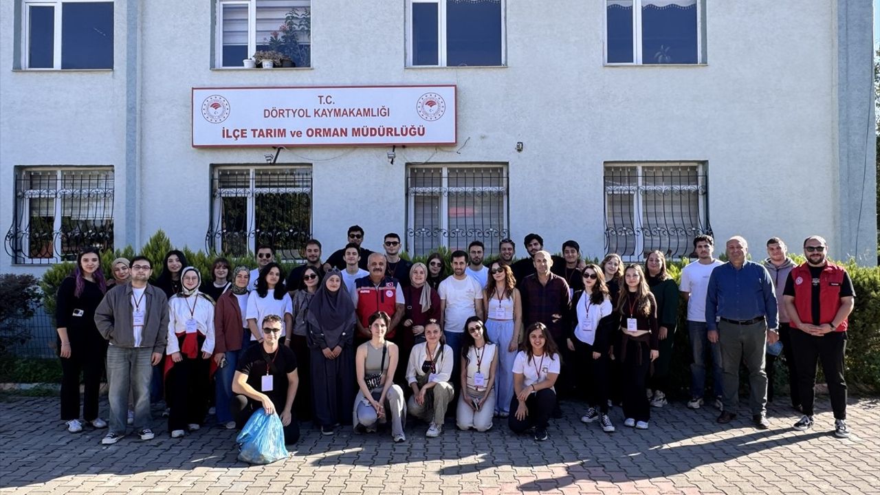 Hatay'da ODTÜ Öğrencileri 'Anadoluyuz Biz' Projesi Kapsamında Mandalina Hasadına Katıldı