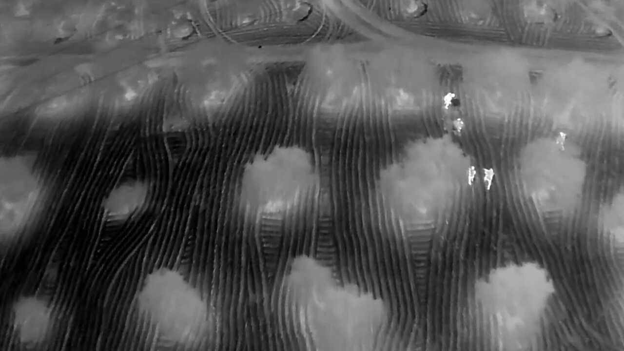 Hatay'da zeytin bahçesinde 625 bin captagon ele geçirildi