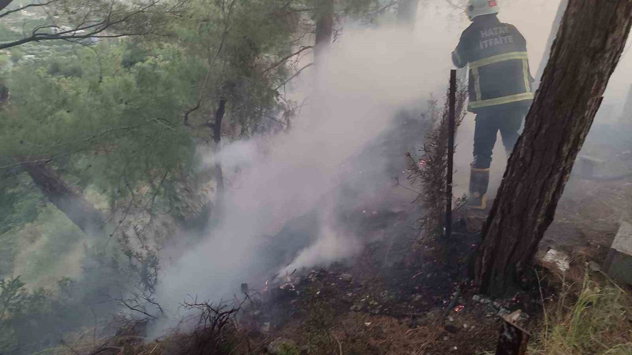 Hatay Dörtyol Keçeli'de orman yangını ekiplerin hızlı müdahalesiyle kontrol altına alındı