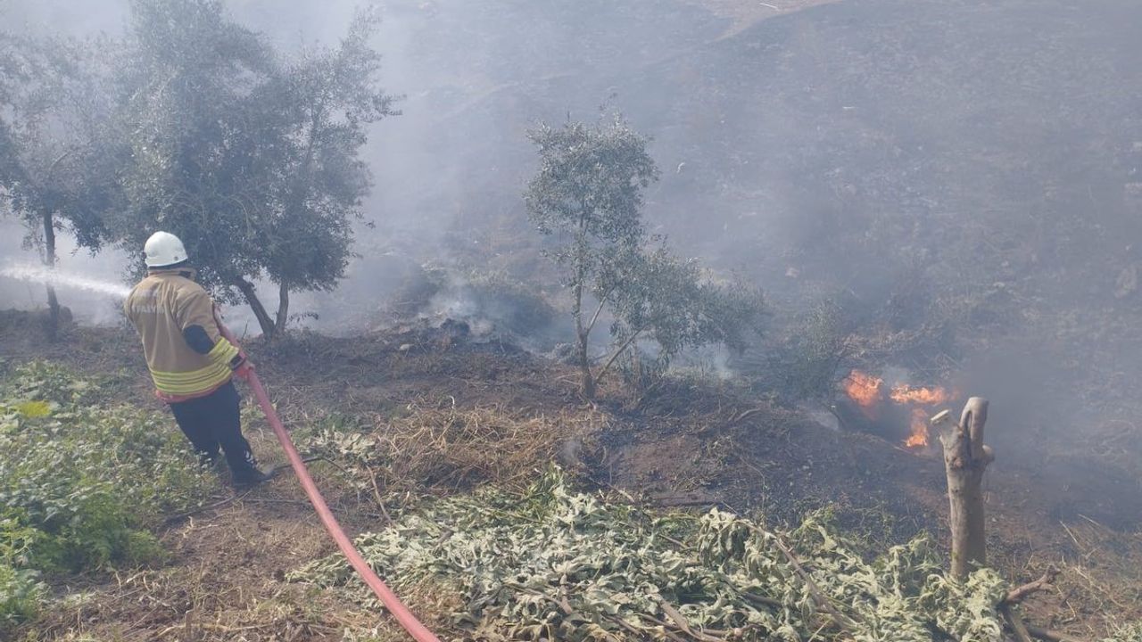 Hatay Kumlu'da bahçe yangını itfaiye müdahalesiyle kontrol altına alındı