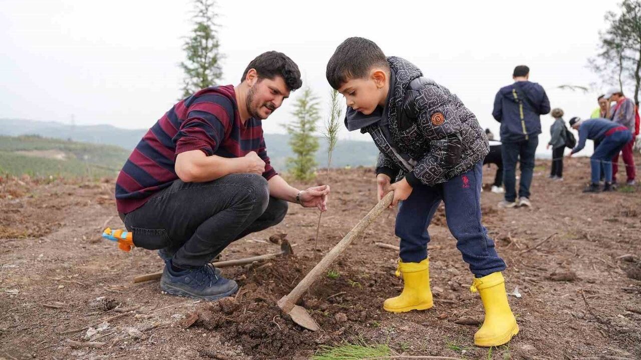 Hekimler Ormanı'na ilk adım: 2 bin hekimin 24 bin fıstık çamı bağışı