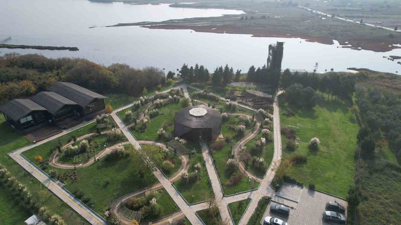 Hersek Lagünü'nde flamingo sayısında artış: 167 hektarlık alanda renkli görüntüler