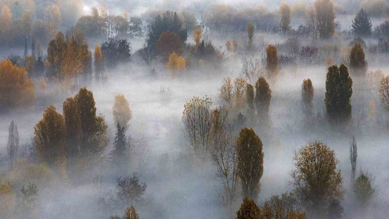 Hevsel Bahçeleri'nde Sonbahar Sisi: UNESCO mirası Diyarbakır'da kartpostallık sabah manzaraları