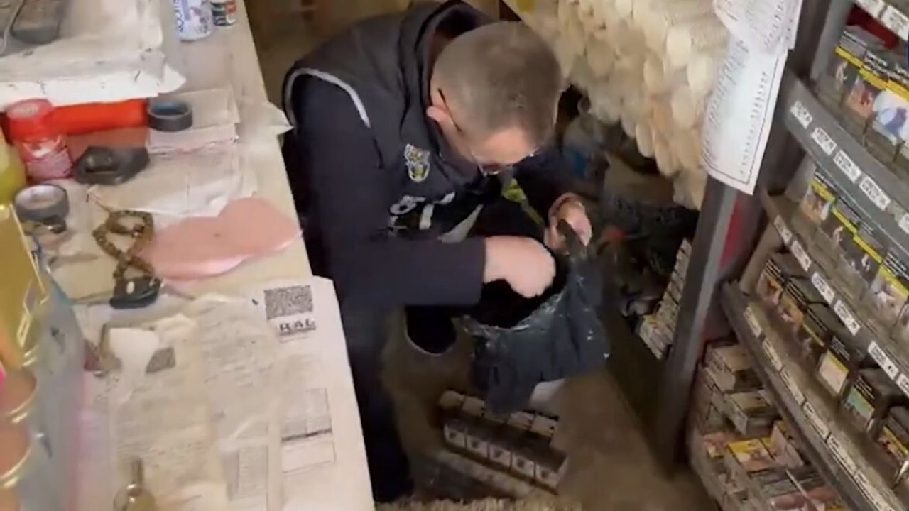Iğdır'da bir haftalık denetimde 849 paket kaçak sigara ve uyuşturucu ele geçirildi
