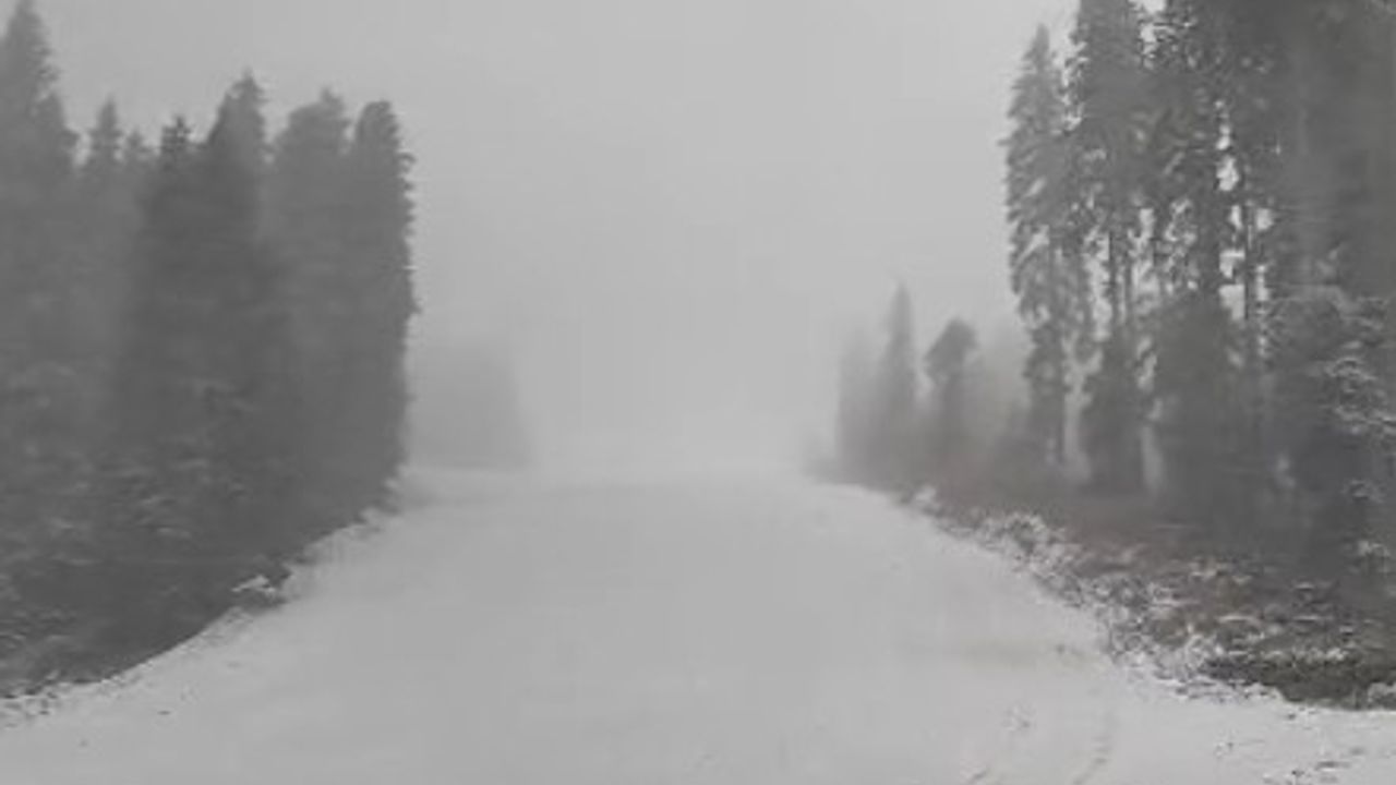 Ilgaz Dağı'nda Kar Etkili Oldu: Yüksek Kesimler Beyaza Büründü