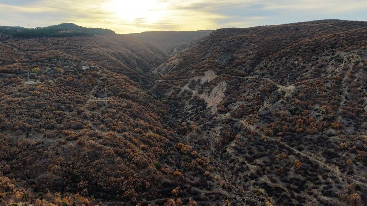 Ilgaz Dağları'nda sonbahar: Çankırı ormanları kartpostallık manzaralar sunuyor