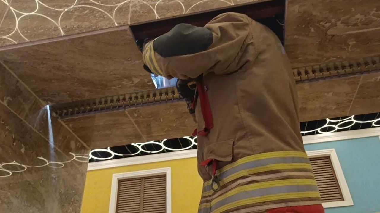 İskenderun'da duvar boşluğuna sıkışan kedi itfaiye tarafından kurtarıldı