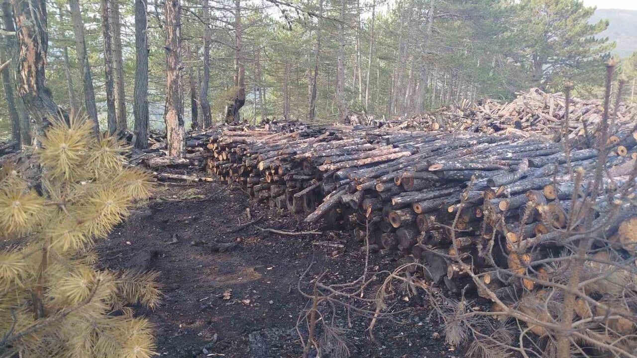 İskilip'te orman kesim alanında yangın: Yaklaşık 80 ster çam zarar gördü
