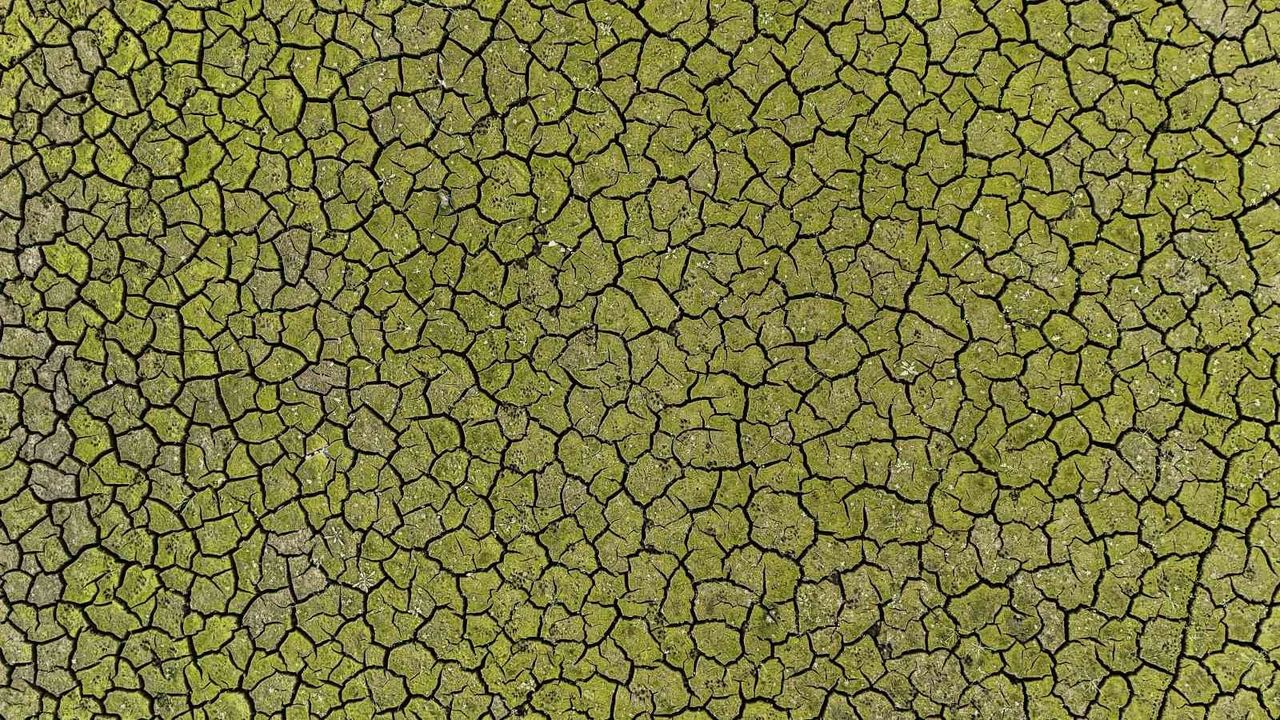 İstanbul'da baraj dolulukları kritik seviyede: Ömerli Barajı havadan görüntülendi