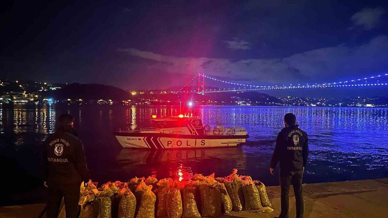 İstanbul'da Fatih ve Sarıyer'de 2 ton 350 kilogram kaçak midye ele geçirildi