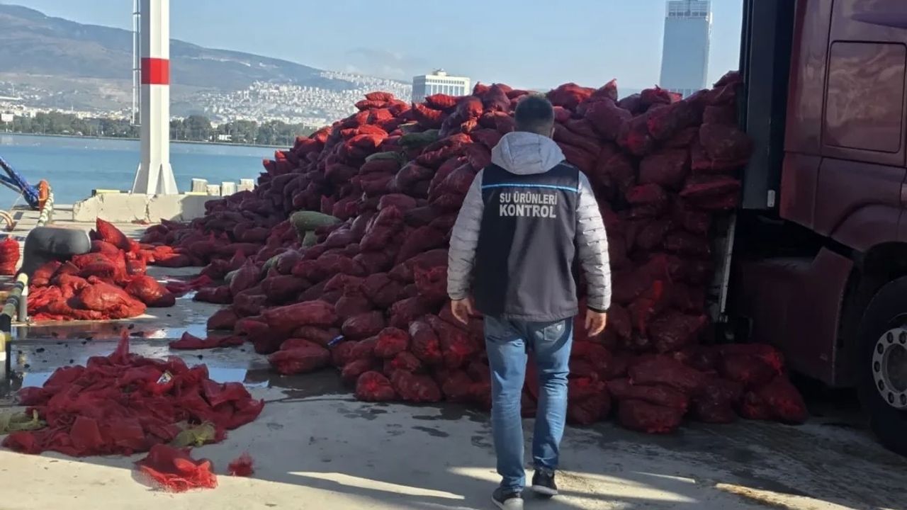 İzmir'de 27 ton belgesiz kara midyesi ele geçirildi