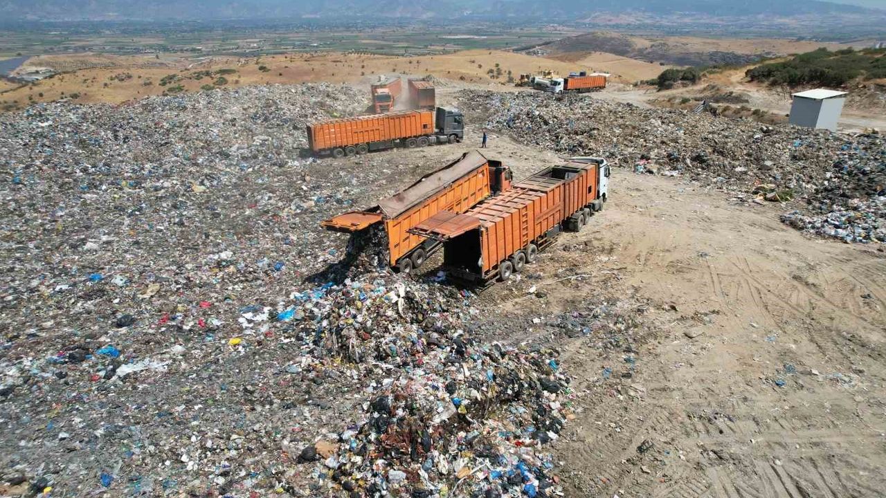 İzmir'de çöp krizi kara sinek artışına neden oldu: Sağlık uyarıları ve alınacak önlemler