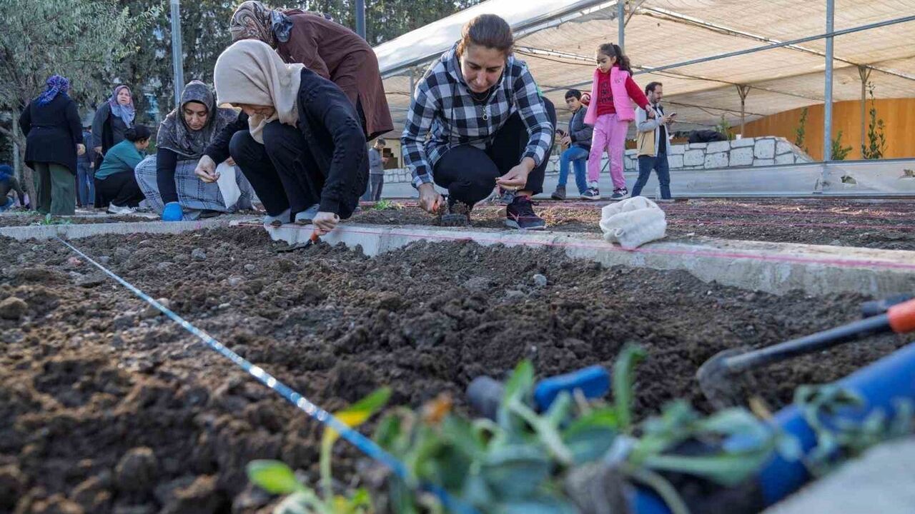 İzmir’de Mahalle Bostanlarında Kış Dikimleri Başladı: 254 Kadın Üretiyor