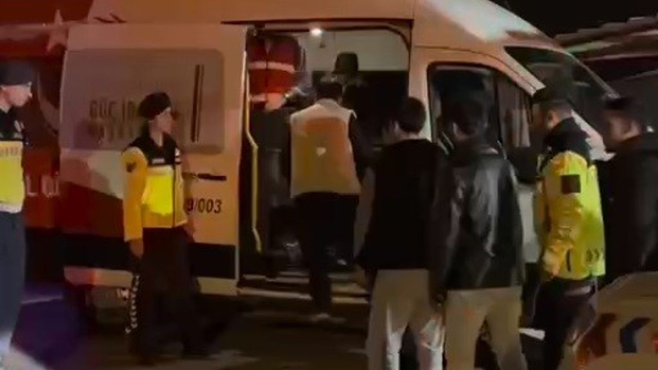 İzmir'den Bodrum'a götürülmek istenen 9 düzensiz göçmen Aydın'da yakalandı, 2 organizatör gözaltında