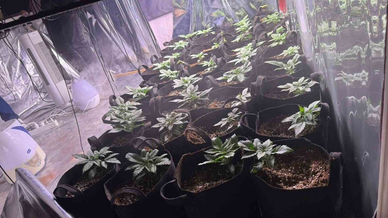 İzmir Konak'ta uyuşturucu operasyonunda 1 şüpheli tutuklandı