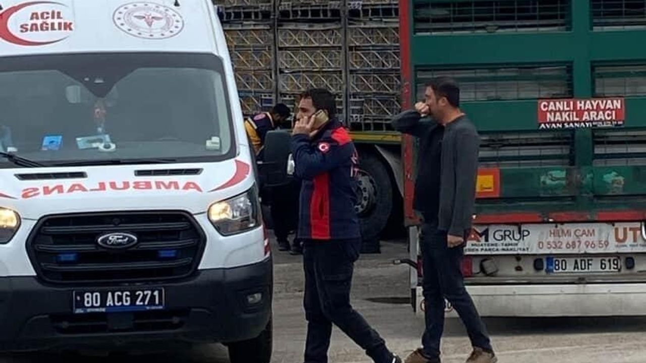 Kadirli'de tırın altında kalan 86 yaşındaki yaya yaşamını yitirdi