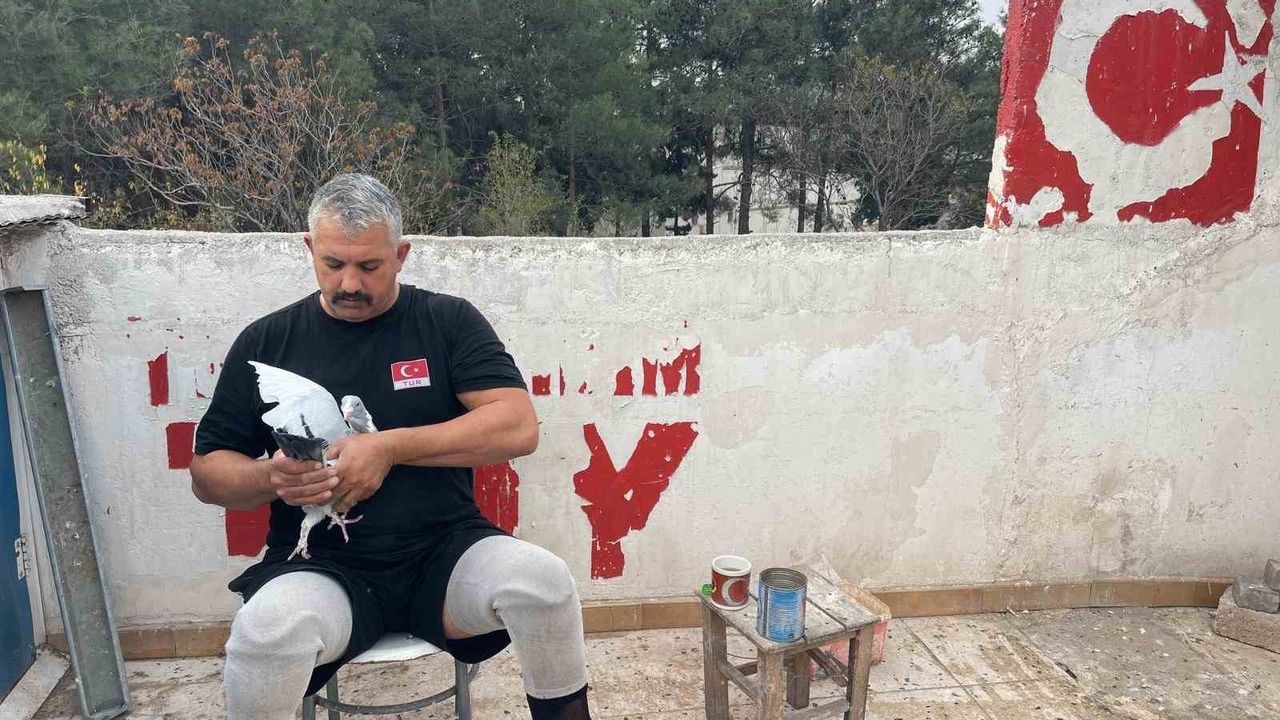 Kahramanmaraş'ta 49 yaşındaki gazi Mehmet Orçan, güvercinlerle hayata tutunuyor