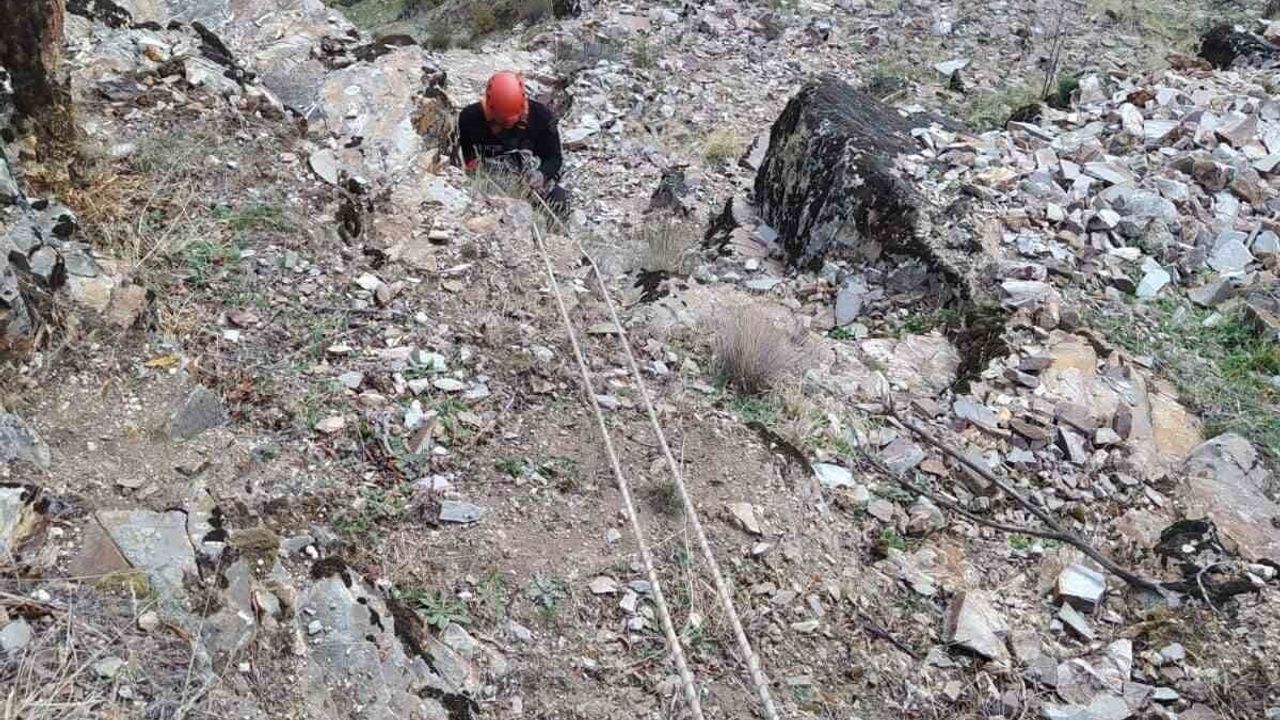 Kahramanmaraş'ta kayalıklarda mahsur kalan 5 keçi itfaiye ekiplerince kurtarıldı