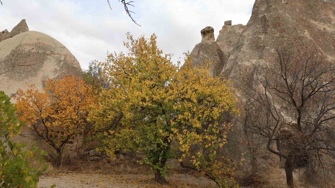 Kapadokya'nın Sonbahar Renkleri Dronla Görüntülendi