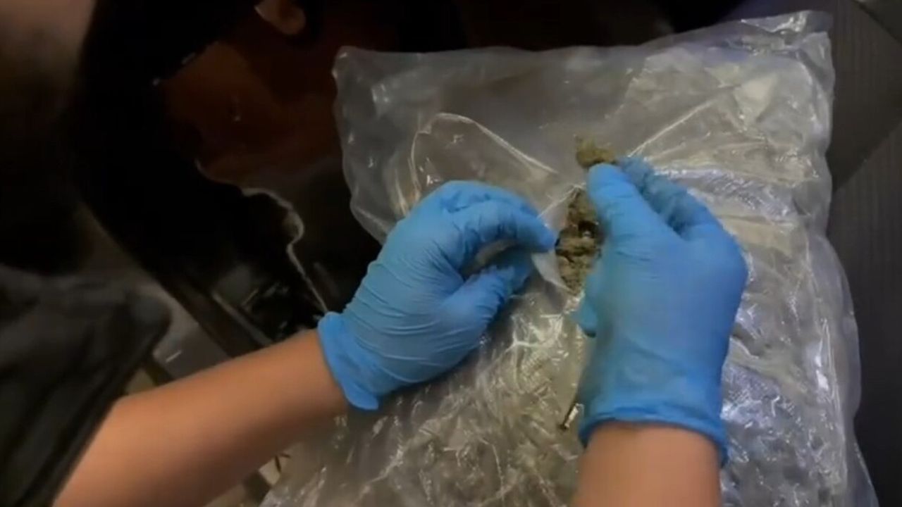 Kapıkule'de araçta 23 kilo 820 gram skunk ele geçirildi