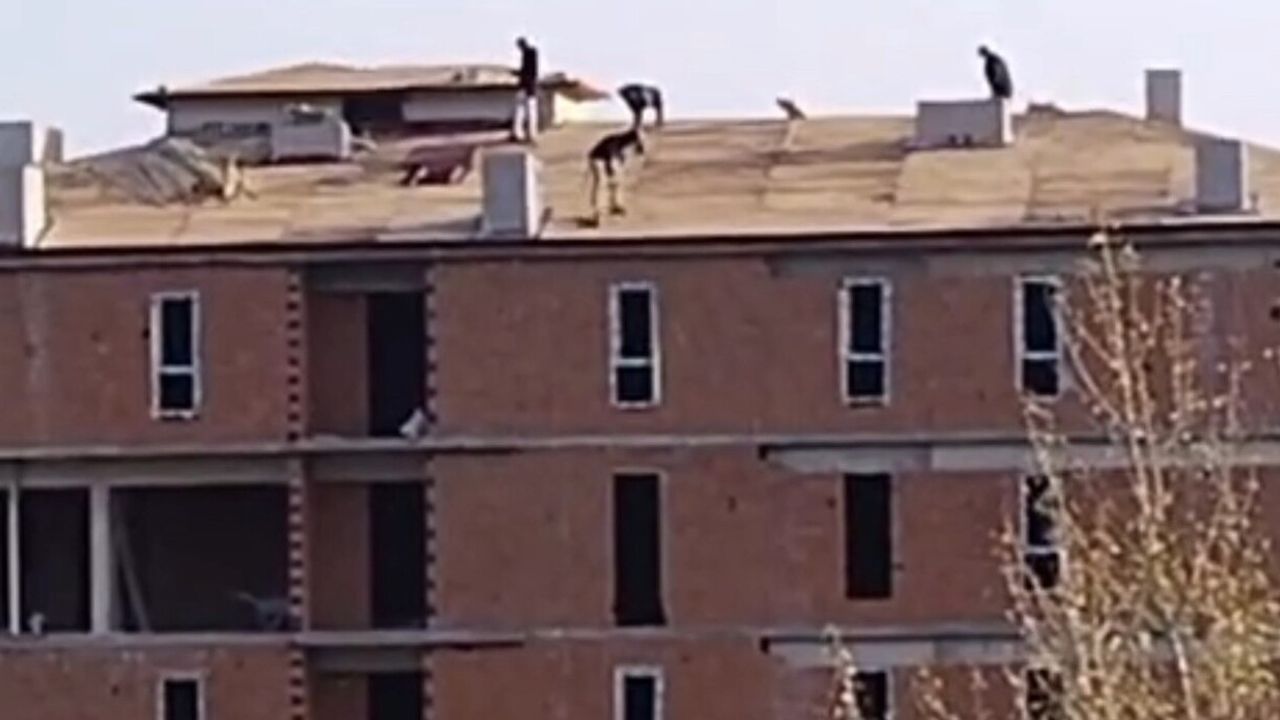 Karabük'te 6 katlı inşaat çatısında güvenlik önlemi olmadan çalışma cep telefonu kamerasında