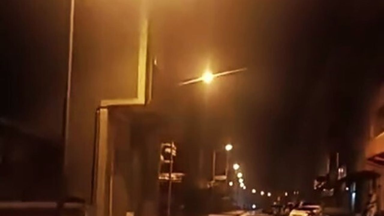 Karabük Yenice'de anne ayı ve iki yavrusu ilçe merkezinde görüntülendi