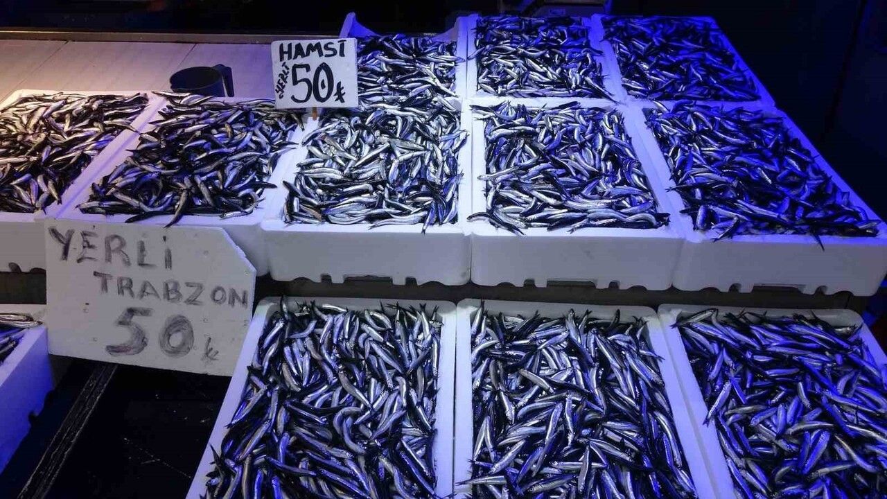 Karadeniz'de Hamsi Bolluğu: Balıkçılar Üç Aydır Aralıksız Avlıyor