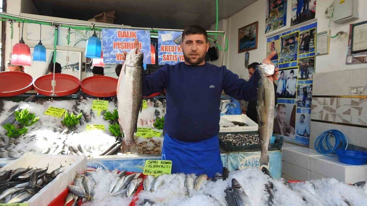 Karadeniz'deki bolluk Kilis'te balık fiyatlarını düşürdü: Hamsi kilosu 100 lira