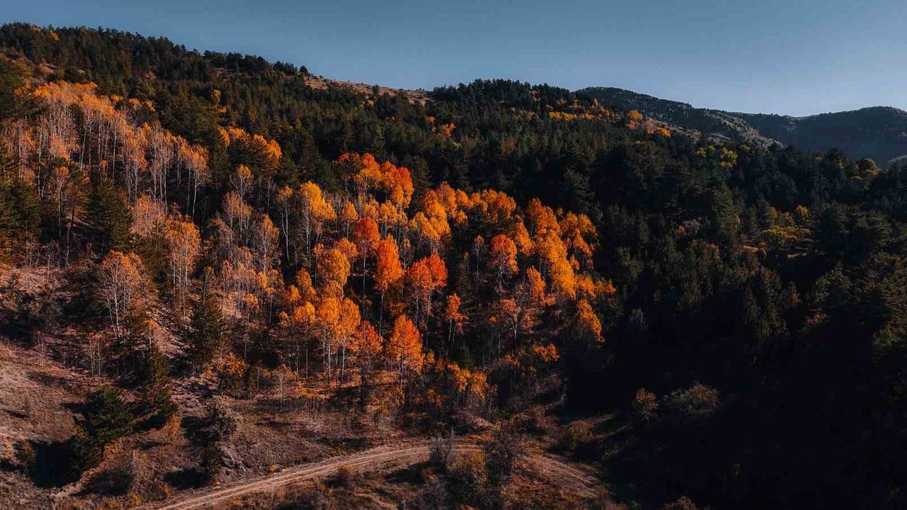 Karagöl Tabiat Parkı’nda sonbahar renkleri Çubuk’ta dikkat çekiyor