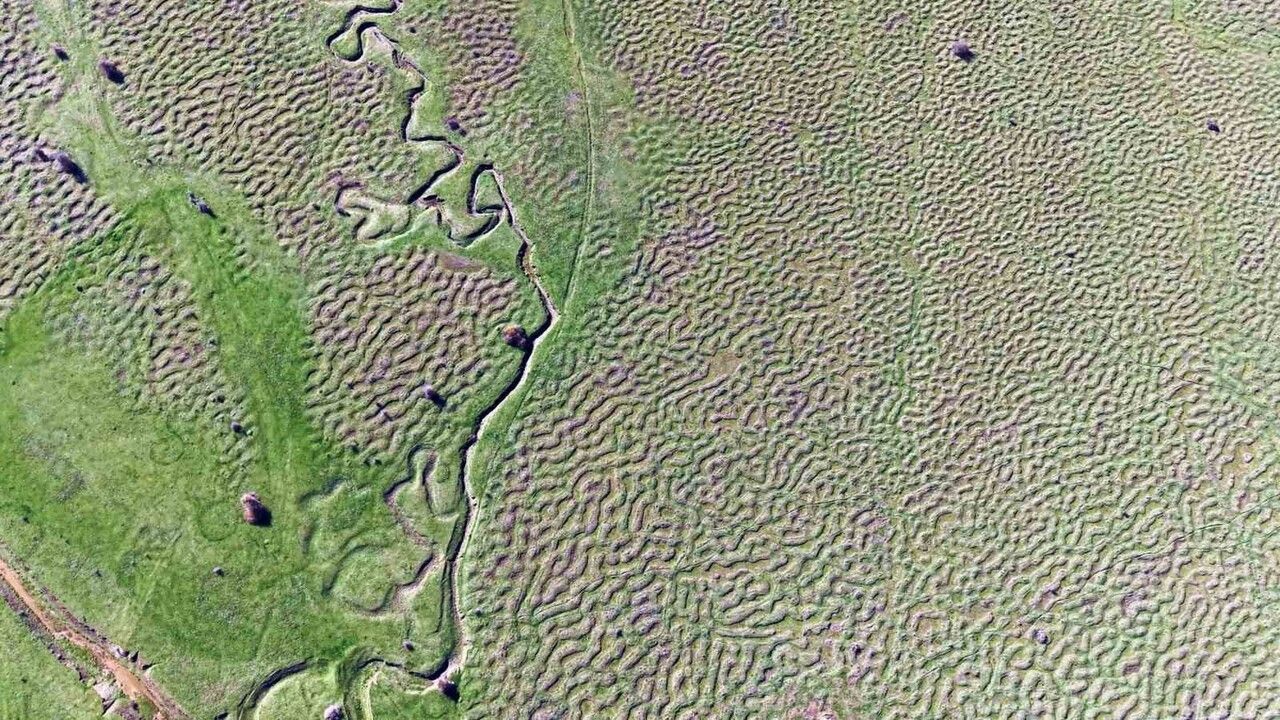 Karagöl Yaylası'nın Menderesleri Havadan Görüntülendi: Jeomorfoloji ve Doğa Turizmi Öne Çıkıyor