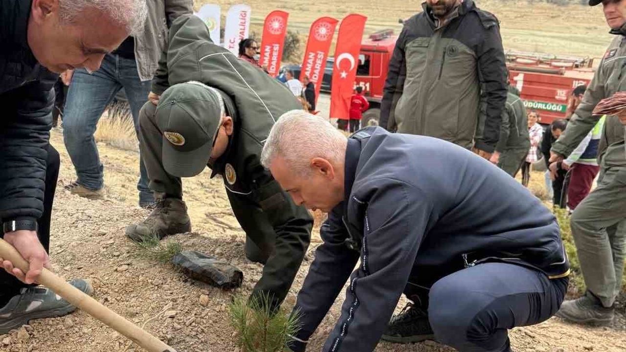Karaman'da 20 şehit anısına Gödet Barajı çevresinde fidan dikimi
