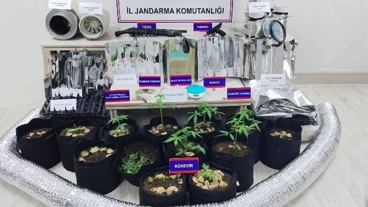 Karaman'da jandarma uygulamasında 148 tarihi sikke ve uyuşturucu ele geçirildi, 10 kişi tutuklandı