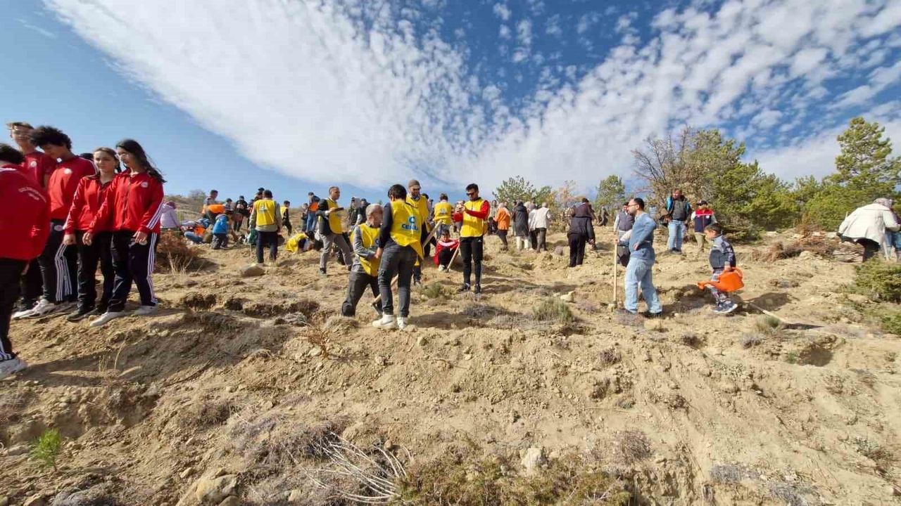 Karaman’da Milli Ağaçlandırma Günü’nde 5 bin çam fidanı toprakla buluşturuldu