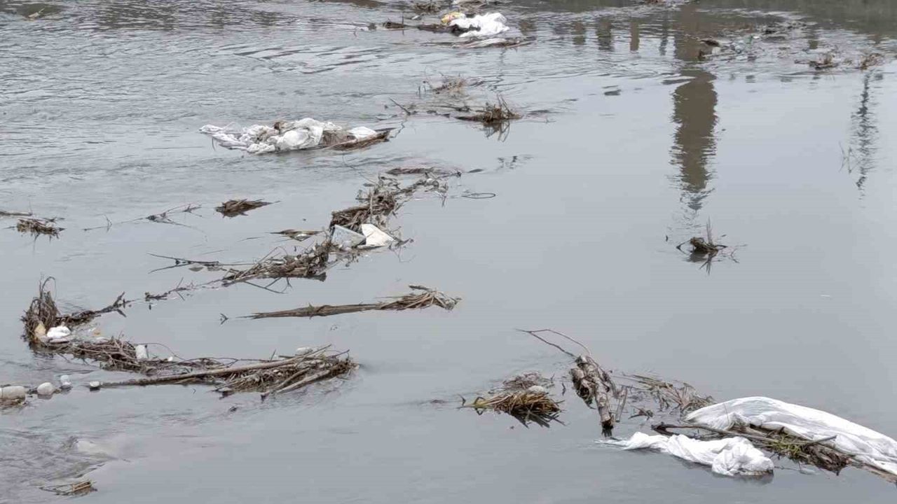 Kars Çayı'nda kirlilik artışı Bedesten bölgesinde endişe yaratıyor
