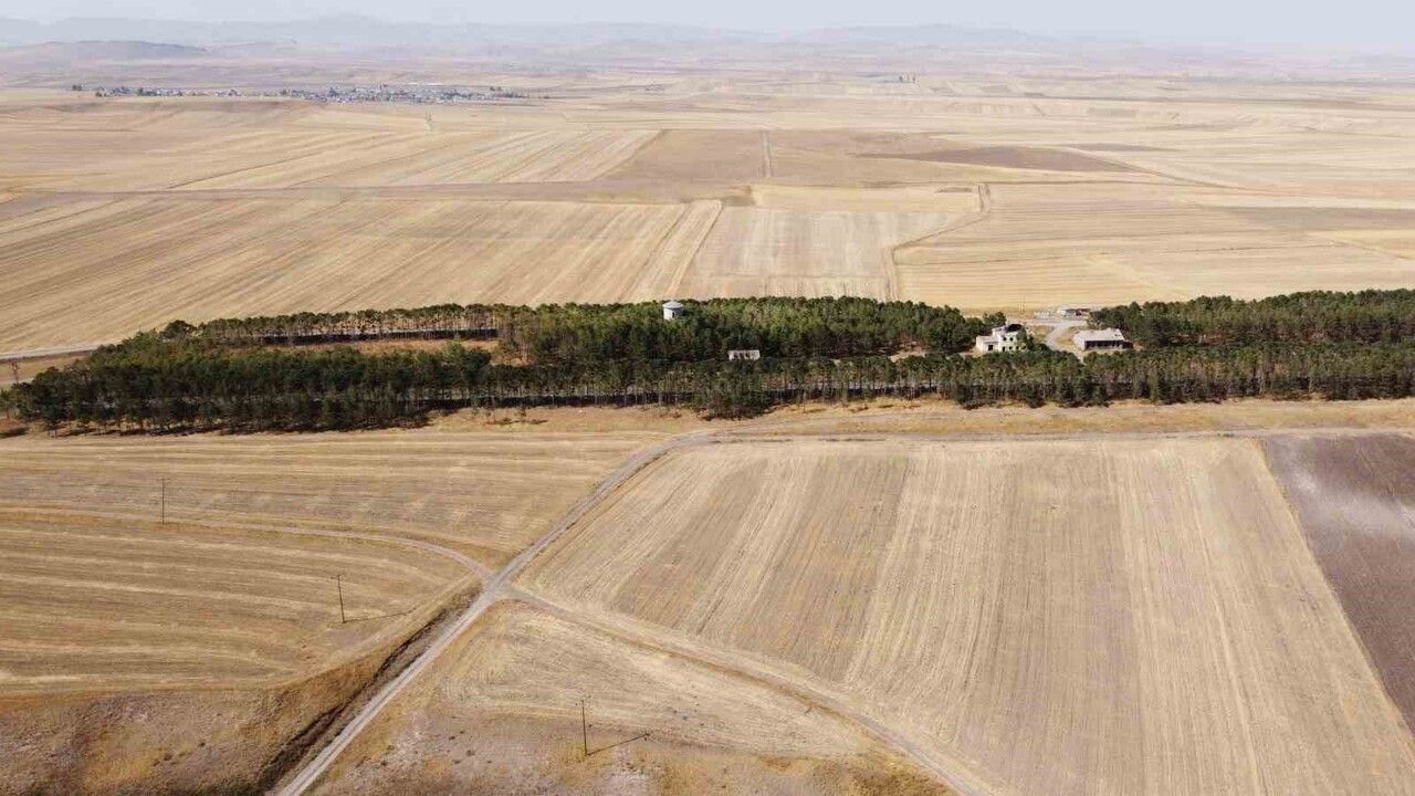 Kars'ta Bozkırın Ortasındaki Vaha: Benliahmet Tren İstasyonu Sonbaharda Drone ile Görüntülendi