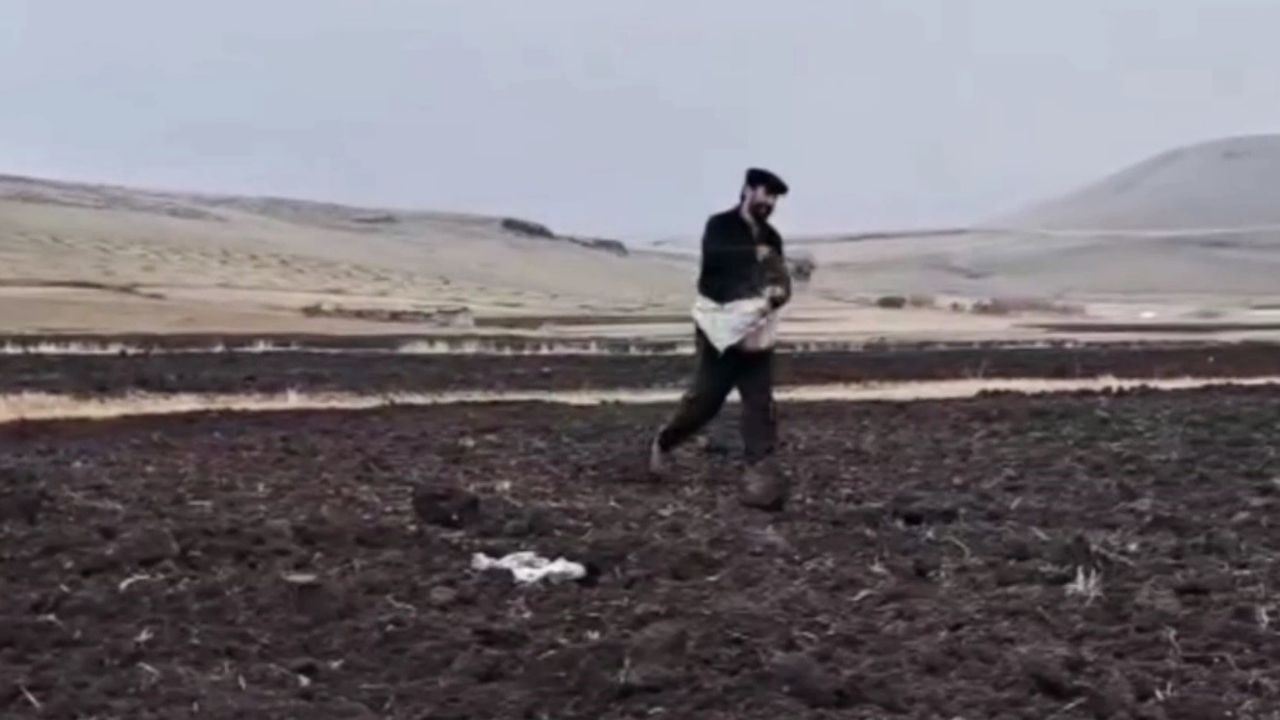 Kars’ta güzlük ekim yaygınlaşıyor: Kuraklığa dayanıklı tohumların tanıtımı ve saha demonstrasyonları