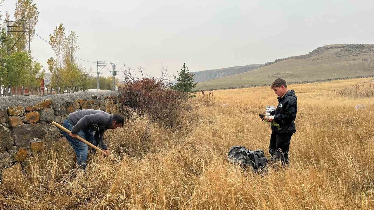 Kars'ta Kayaköprü Köyü Muhtarı Ersoy Ekinci: Bin Çam Fidanı ile Ağaçlandırma Seferberliği