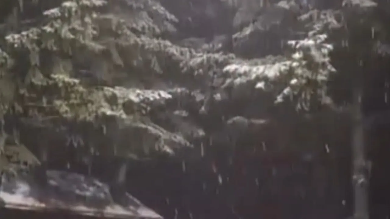 Kartepe'de mevsimin ilk karı: Samanlı Dağları'nın zirvesi beyaza büründü