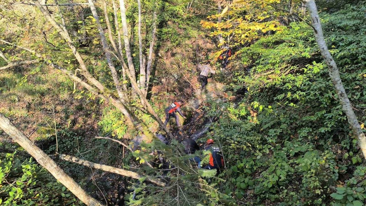 Kastamonu Bozkurt’ta 9 gündür kayıp annenin cesedi, kuzgunları takip eden vatandaşlarca bulundu