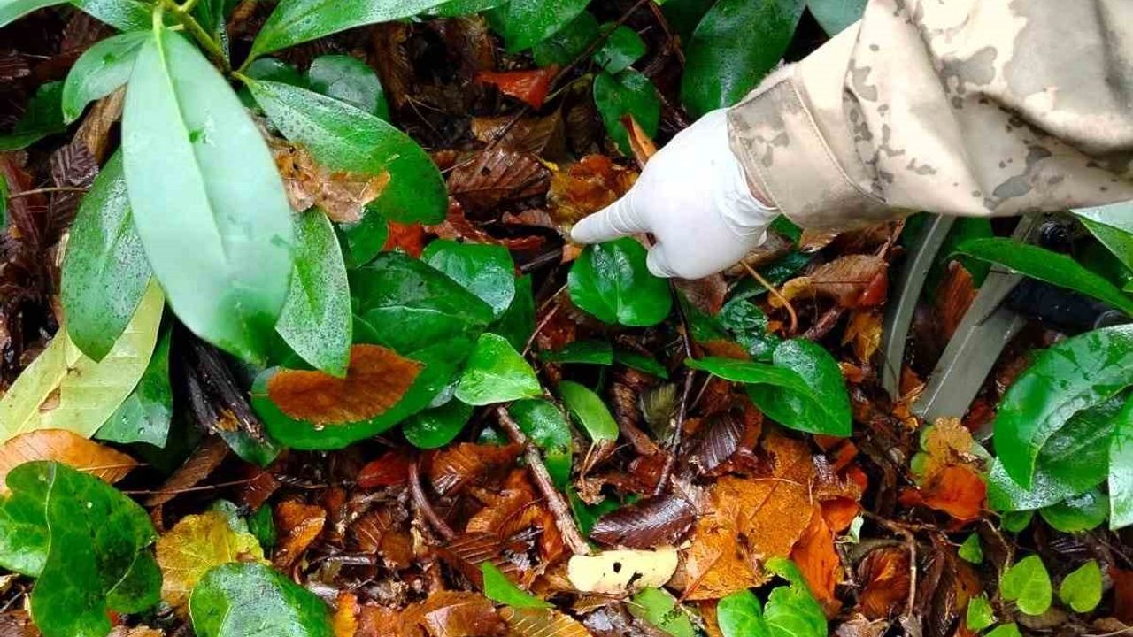 Kastamonu Bozkurt'ta dere yatağında ölü bulunan anneye ait cep telefonu bulundu