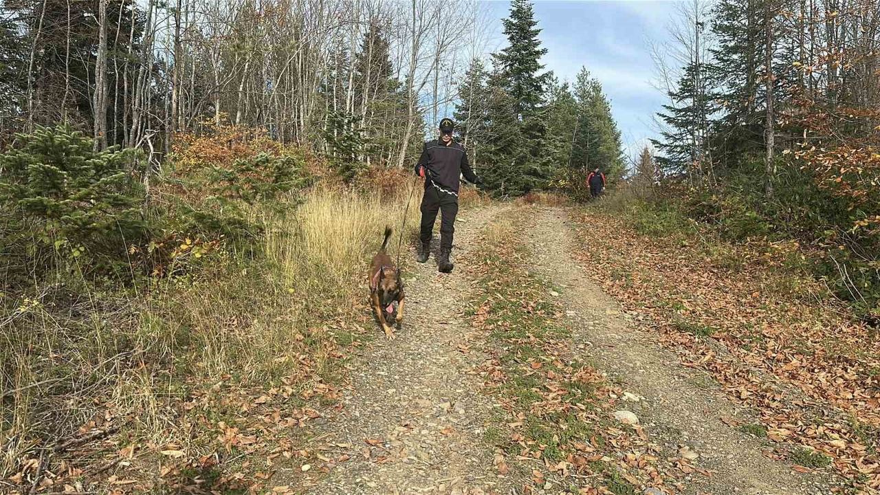 Kastamonu Bozkurt'ta kayıp anne ve oğlu için 'daraltılmış baz çalışması' ile 1 kilometrelik alan belirlendi