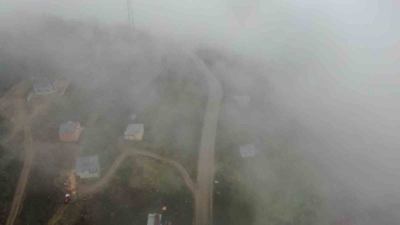 Kastamonu’da Yaralıgöz Geçidinde Yoğun Sis ve Sağanak Yağış: Görüş Mesafesi 30 Metreye Düştü