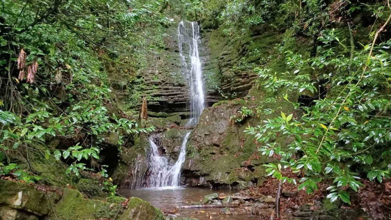 Kastamonu Güney Karadeniz Jeoparkı'nın UNESCO başvuru dosyası teslim edildi