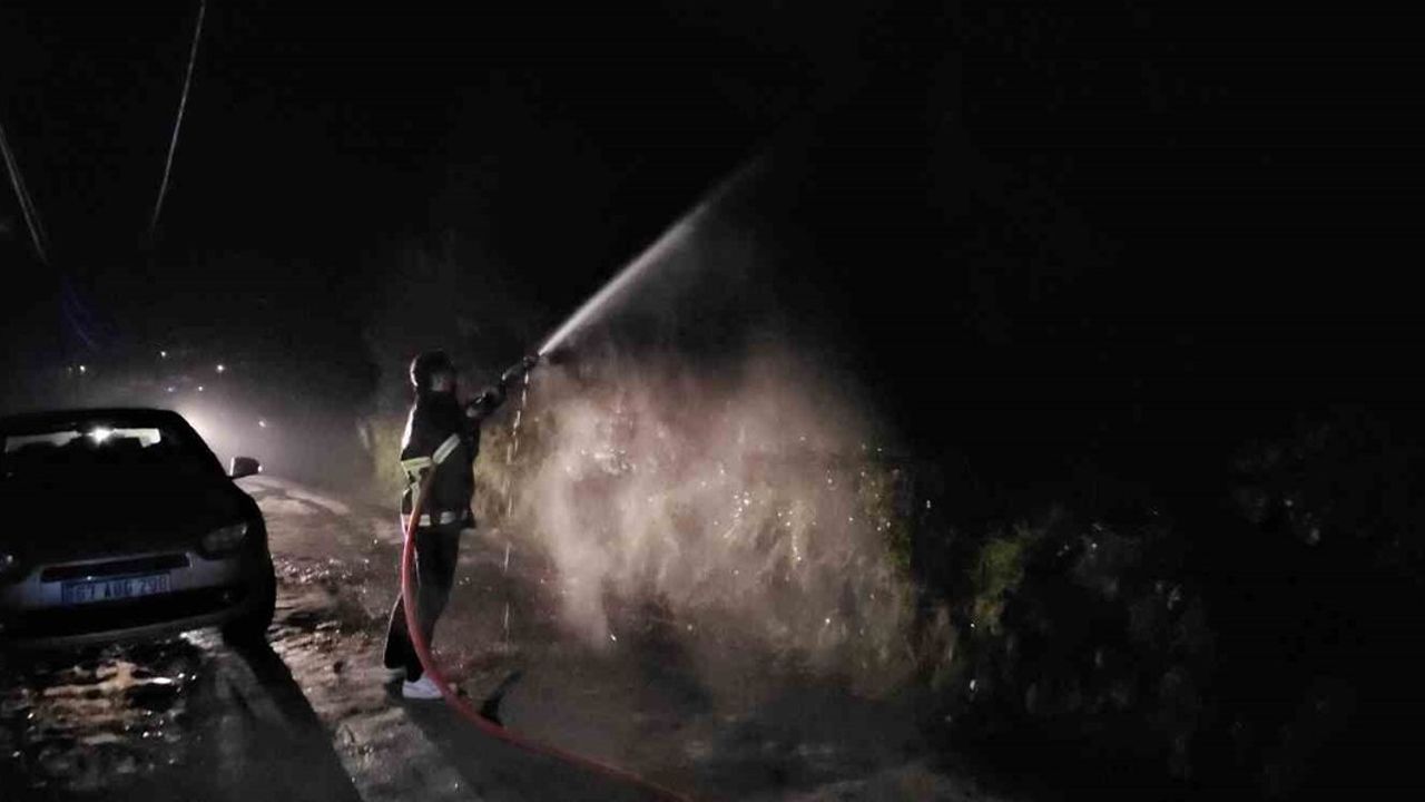 Kastamonu'nun Cide ilçesinde orman yangını itfaiye ekiplerince söndürüldü